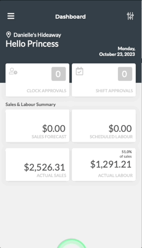 Profit Center Manager App.gif